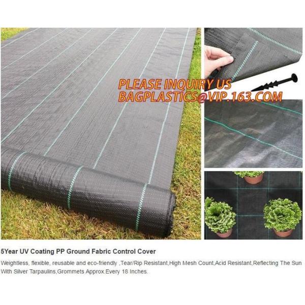 Плантатор сада пластмассы полиэтилена ЛДПЭ кладет в мешки для овоща, дерева и саженец цветка, ЛДПЭ пластмассы отверстия 15 ГАЛЛОНОВ растет б