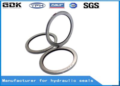 VAY que carrega o selo VAY Pin Seal Machinery Parts do limpador do cilindro hidráulico do selo da poeira