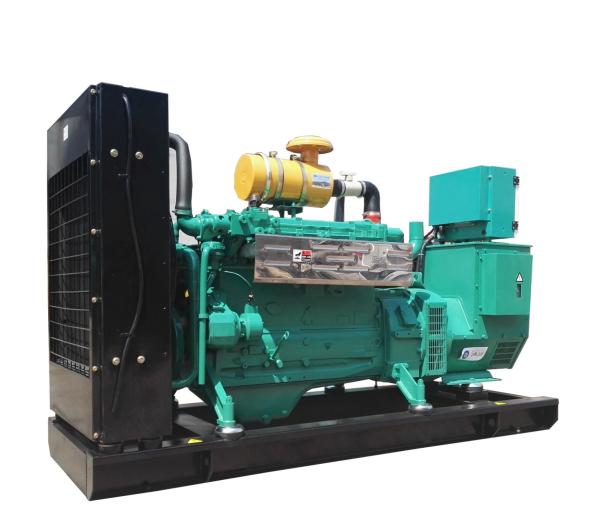 10-600Kw Silent / Open Lp Gas Generator  Low Space Requirement