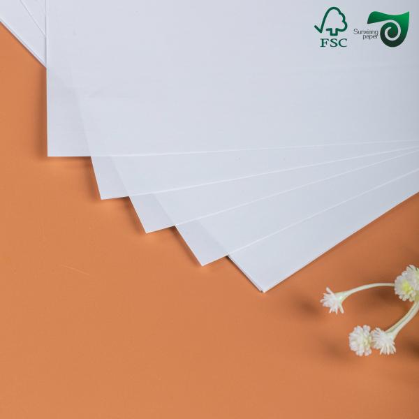 210gsm 220gsm Double Sided Coated Thermal Cardboard Paper For Airline Tickets FSC