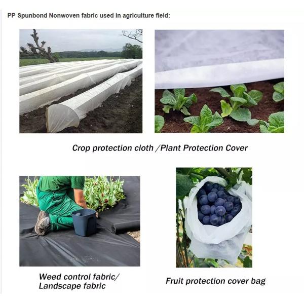 Polypropylene Spunbond Agriculture Non Woven Fabric
