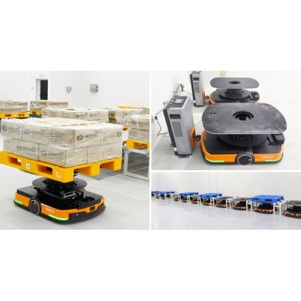 Cold Storage Warehouse Pallet Stacker Crane ASRS Logistics Center Automatic Storage And Retrieval System