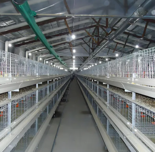 Low Maintenance Cost Prefabricated Steel Structure Poultry House with Suitable Temperature Control