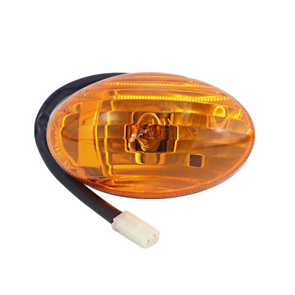 Foton Truck Aumark Ollin Door Light from Essential Truck Parts SKU1 12V Left Year 2016-
