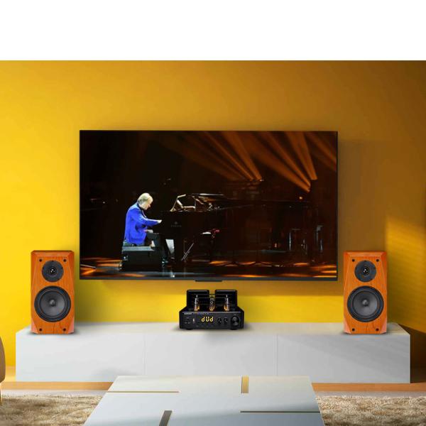 Orador passivo da estante da maneira da cor 2 da madeira para o sistema de áudio da casa