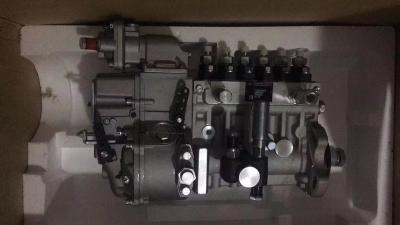 612601080746 BP12064 longbeng fuel injection pump for weichai wd10g240e21