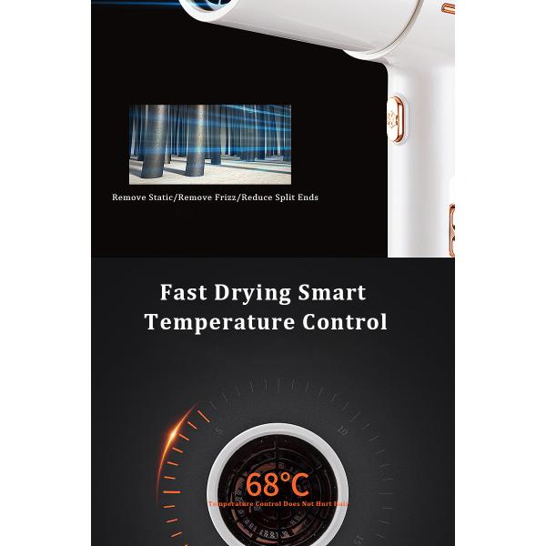 установки скорости сушильщика 3 воздуходувки волос иона промышленного фена для волос 1100W отрицательные