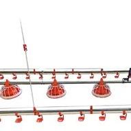 Duck Goose House Pan Feeder Poultry Feeding Systems Jaune Rouge