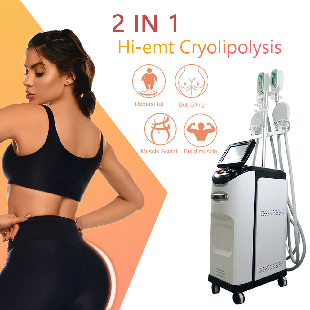Прибор уменьшения Cryo для тела переформует с относительной влажностью ≤80%