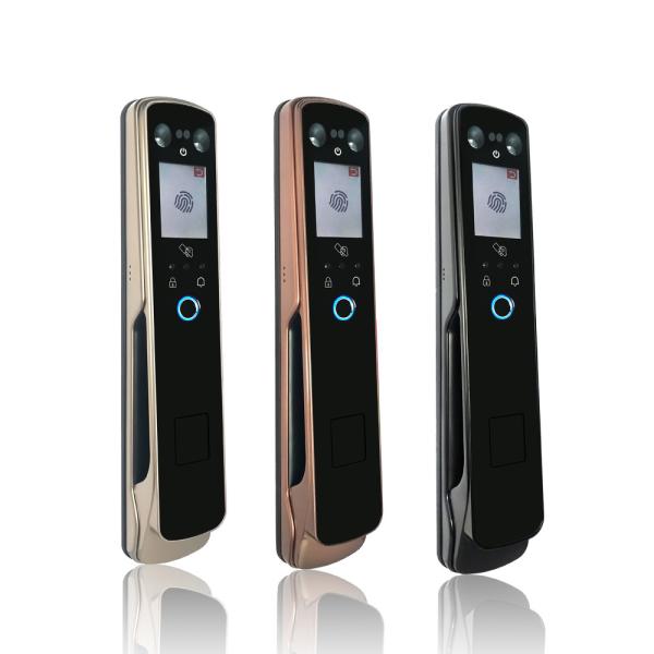 Fechaduras da porta Keyless da entrada da cara e da impressão digital