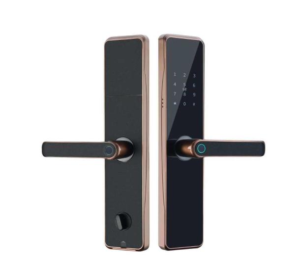 OEM ODM Black RFID Smart Door Lock With Fingerprint And Password