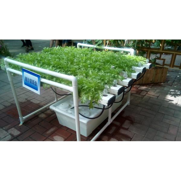 The Best Garden Vertical Hydroponics System NFT for Vegetable & Flower Growing