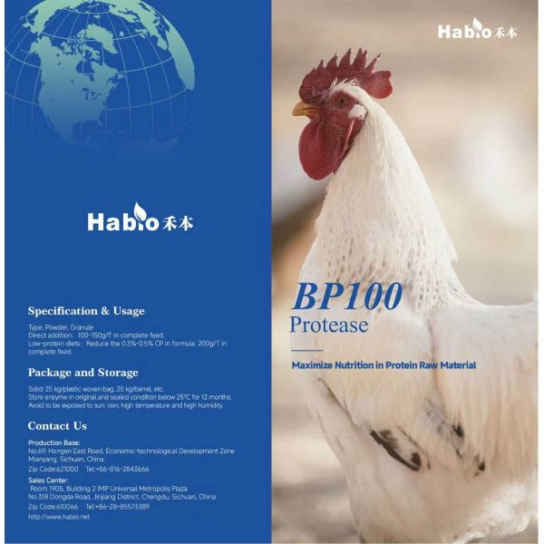 Protease Enzyme Powder & Granule