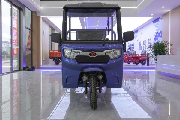 1.6m Passenger Long Endurance Sunroof Transport Cargo Tricycle Electric