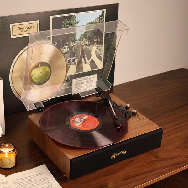 Vinyl Record Player Bluetooth Speaker Vintage Wooden Gramophone Bluetooth Speaker