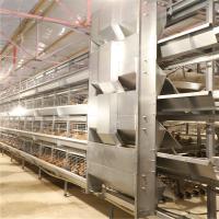 Les poussins d'un jour de batterie mettent en cage multiplier la cage de poulet pour le poussin de couche