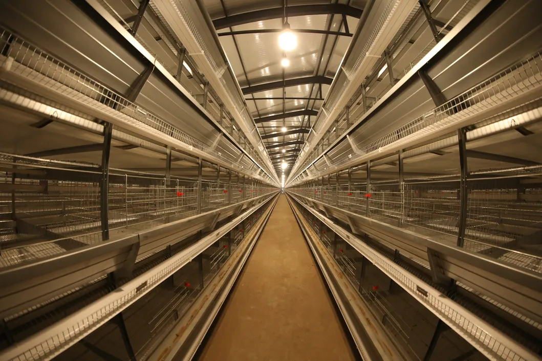 Poultry Farm Automatic Environment Controller Industrial Grade Intelligent Monitoring