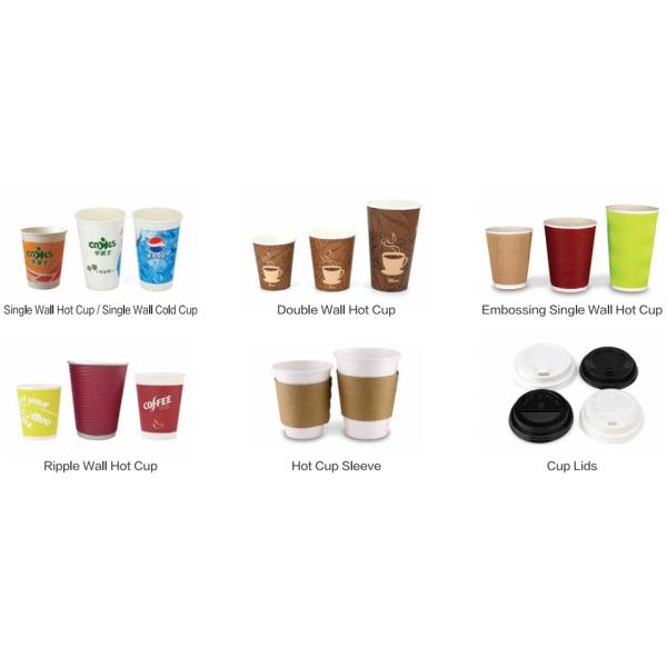 Biodegradable Plastic Free Craft Coffee Cup Degradable Double Wall Paper Cups Recyclable