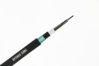 Tube direct échoué extérieur d'enterrement de câble optique de la fibre GYTA53 lâchement blindé