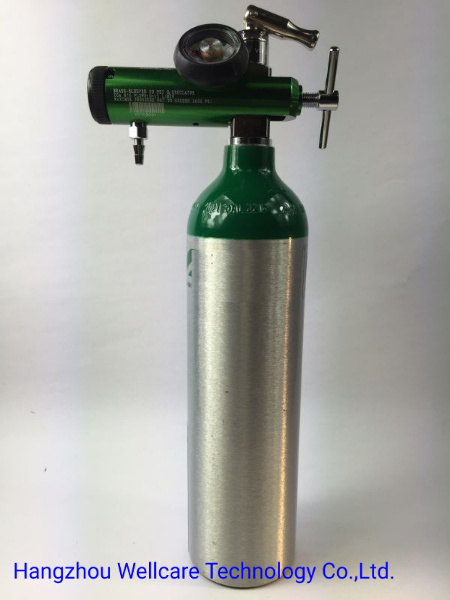 Portable Oxygen Cylinder with Regulator