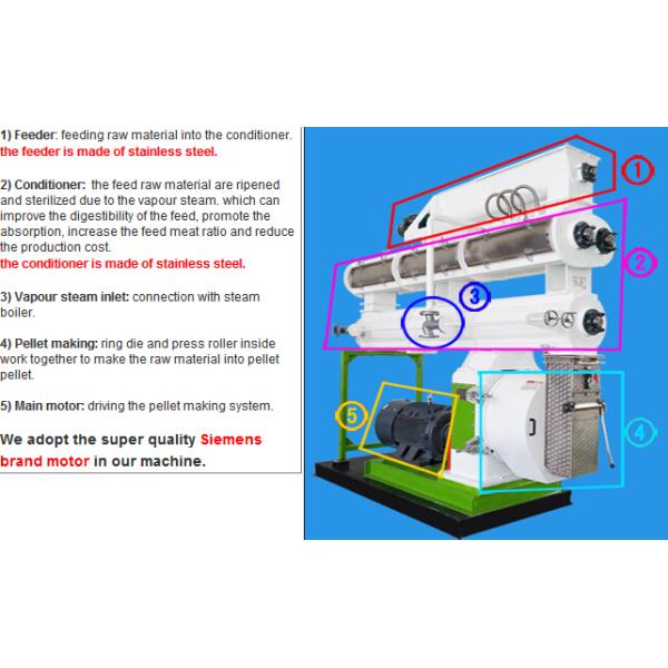 Stainless Steel Feed Pellet Machine  , Chicken Feed Pet Food Manufacturing Equipment
