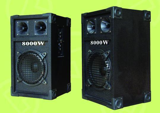 professional stage passive speaker