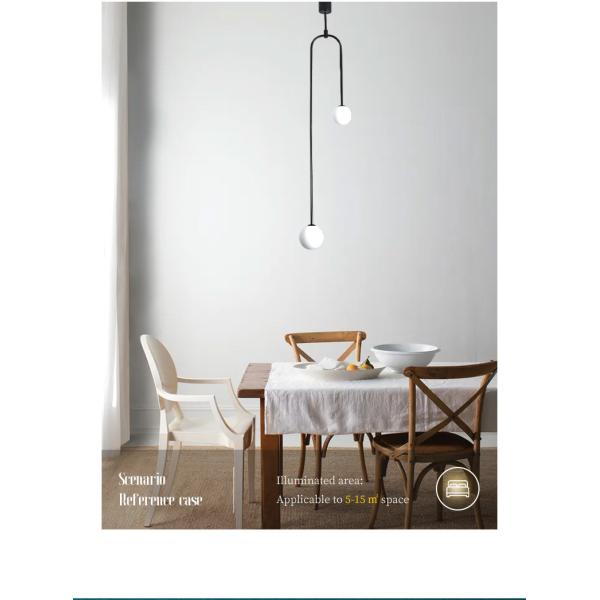 Double Head LED Pendant Light 250mm Ceiling Pendant Light 90lm/w