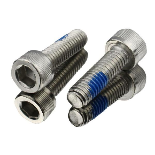 Stainless Steel M2 M4 M6 M8 Socket Head Cup Screws
