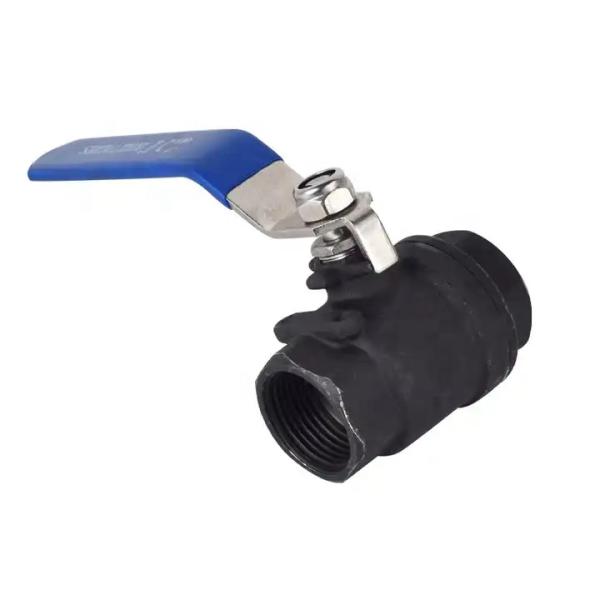 SS304 316 316L 1000WOG WCB High Pressure Ball Valve with Cylindrical Head Q11F-16