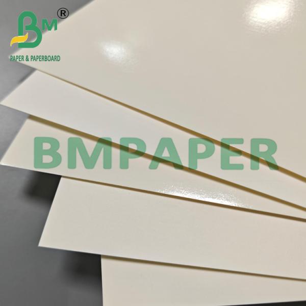 315 gramos Biodegradable PET Kraft Paper Contenedor de alimentos para el almuerzo y la cena