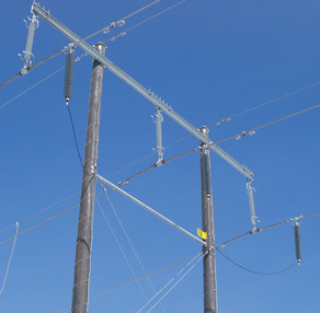 Transmission Line Surge Arrester