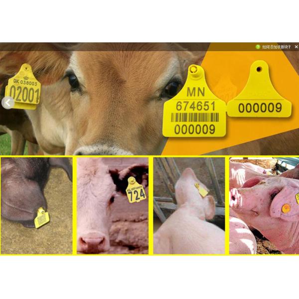 Животный гравировальный станок машины маркировки лазера бирки уха промышленный/лазера волокна