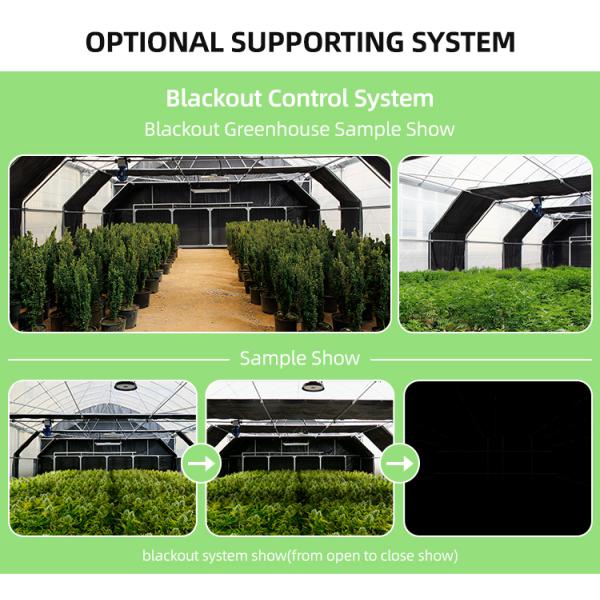 Легкая депривация, гидропоника, американская теплица, автоматический туннель, сельскохозяйственная плёночная теплица, затемнённая теплица