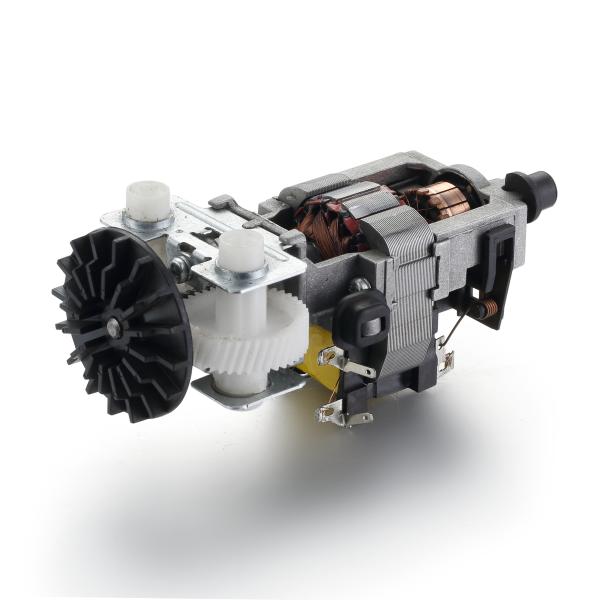 High Torque 830rpm 55mm 110v 220v 30W 50/60Hz AC Electric Motor for Professional
