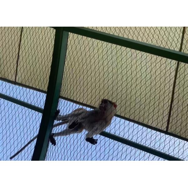 Supplier Of Aviary Mesh Durable Ferrule mesh For Large Bird Enclosure