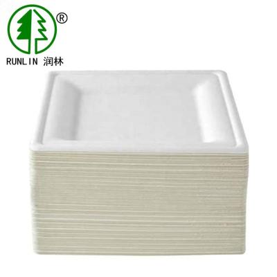 Square Pulp Molded Eco Friendly Dishes  FDA  Biodegradable Sugarcane Bagasse Plates