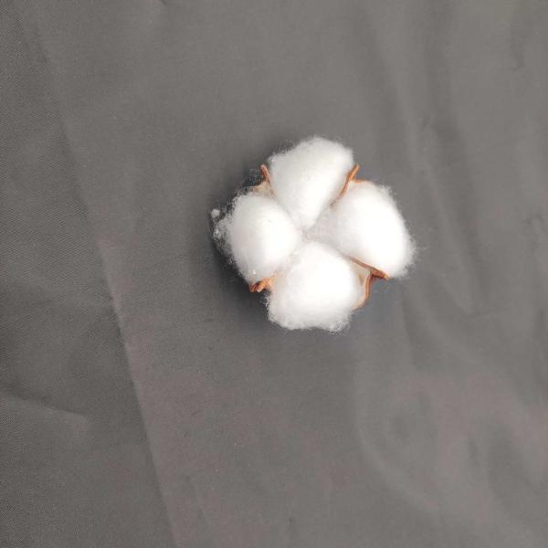 190T tingiu a tela claramente 100% do tafetá do PVC do poliéster 120G impermeável