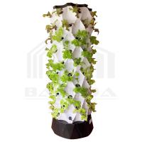 30L 6 8 10 12 Sistema de cultivo hidropónico de camada Torre Agricultura Vertical Para morango