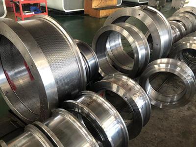 PTN BUHLER Pellet Die Manufacture SS Steel Poultry Pellet Die Making