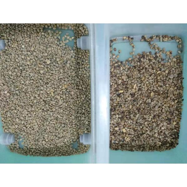 Самая последняя сортировщица цвета фасолей нута СИД CCD рыночной цены популярная в США