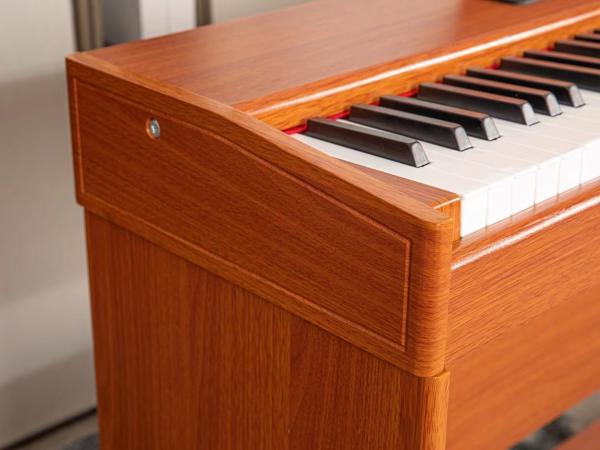 Black Polish 88KEYS Digital Piano CDG1000B with LCD Screen  sales of digital pianos, on the other hand, have gone up 50%