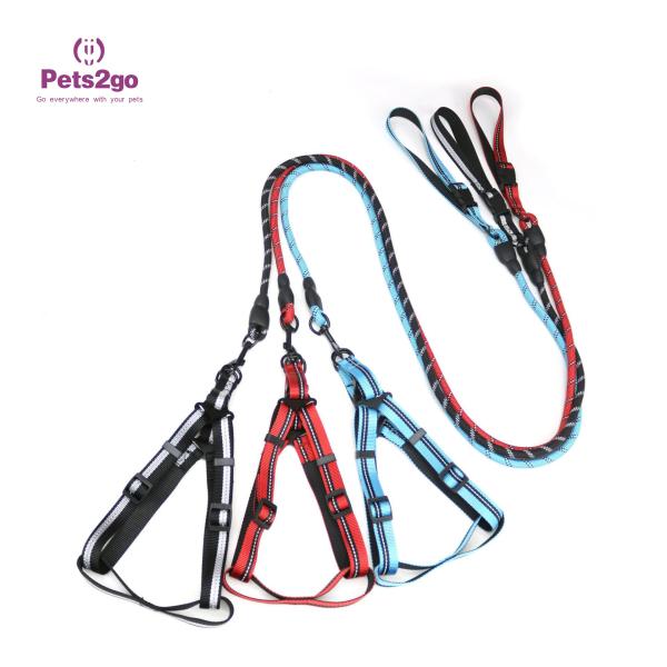 Собака оранжевого поводка кабеля собаки поводка собаки располагаясь лагерем водит самую лучшую анти- проводку собаки тяги