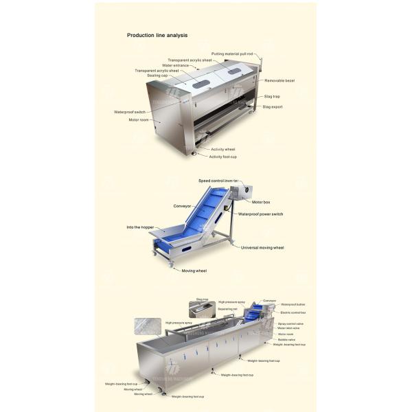 Vegetable Hair Roller Bubble Washing Selection Cutting Machine Production Line