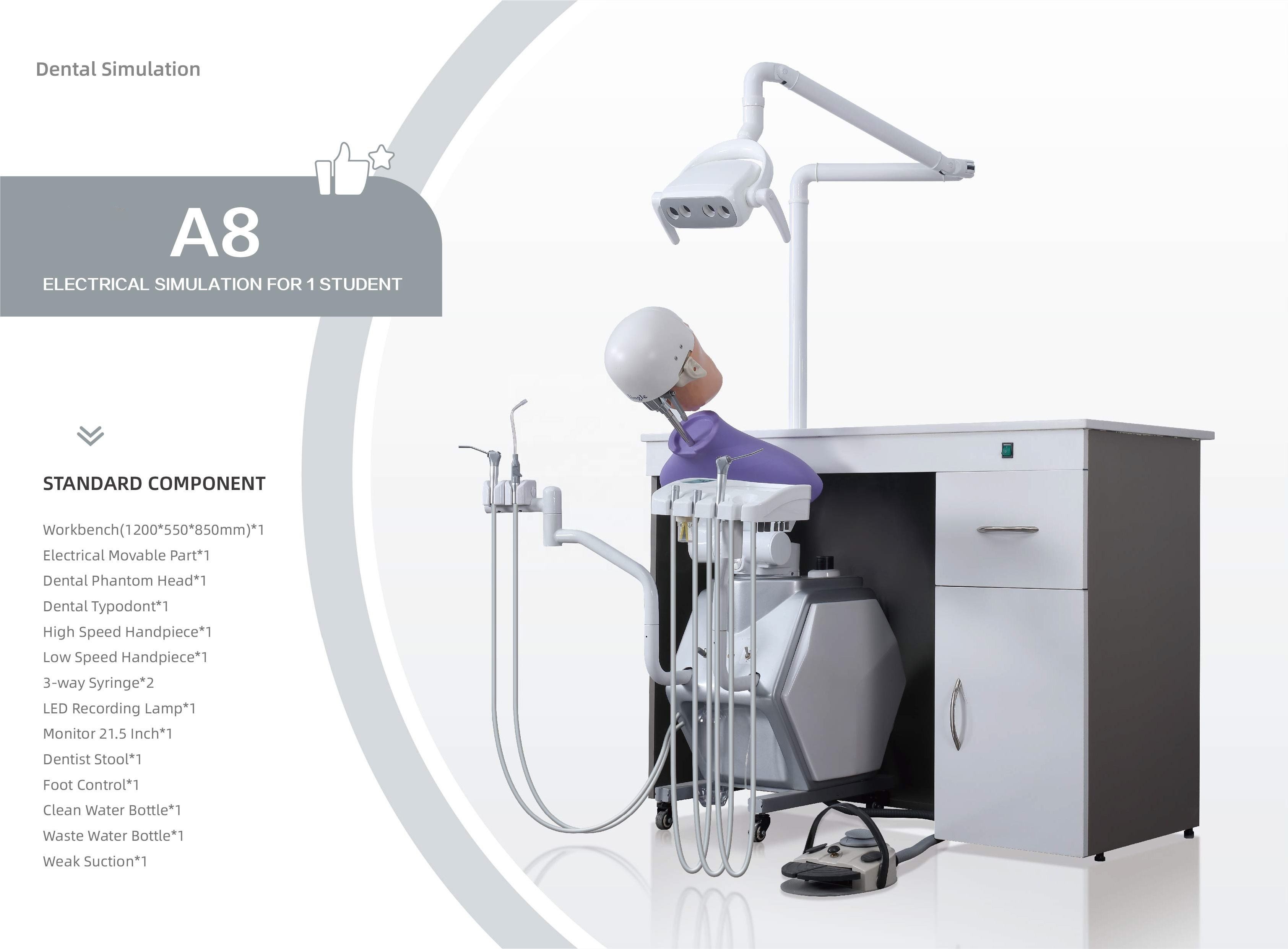Имитатор A1 A3 A15 практически фантомной головы OEM зубоврачебный для студентов