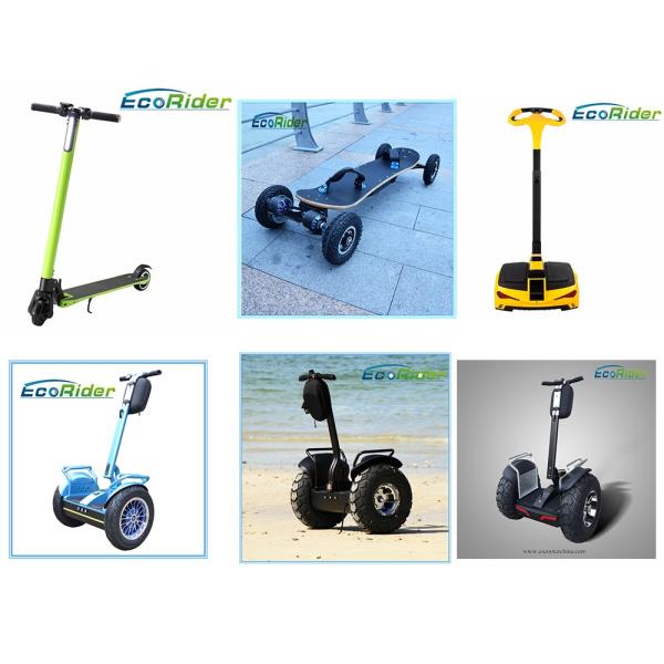 Portable Folding Motorized Scooter 350W 24V Lithium Folding Electric Skateboard