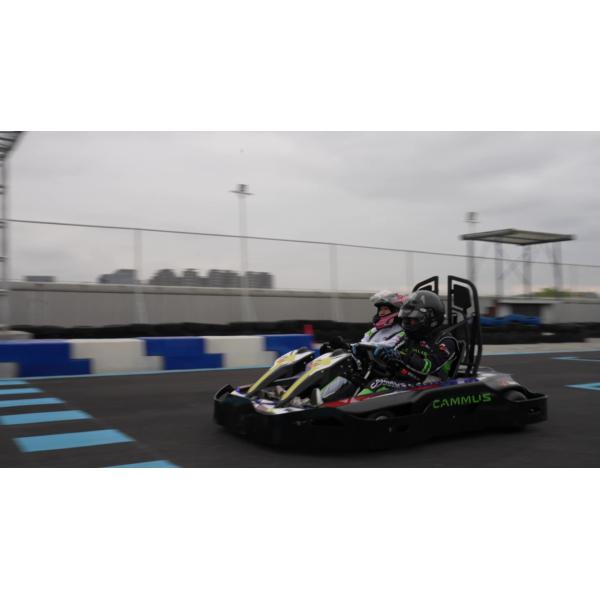 Участвующ в гонке электрическая батарея Kart педали Karting пойдите Karts для младшего взрослых детей