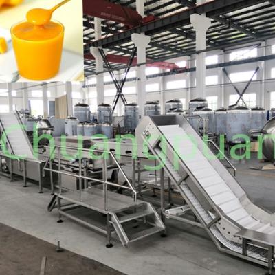 380V 410V 20KW Mango Pulp Making Machine Stainless Steel