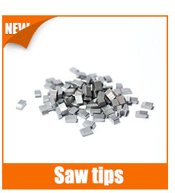 Polished Tungsten Carbide Die and Hot Forging Die with Customizable Models and ISO 9001:2008 Certification
