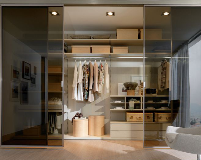 Custom Designed for Wardrobe Closet Modern LED Lighted Aluminum Metal Storage Shelves Glass Coating Technology Clear Wardrobe