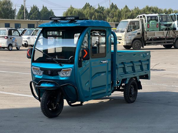 B02 1500WD super strong load-bearing capacity cargo electric tricycle